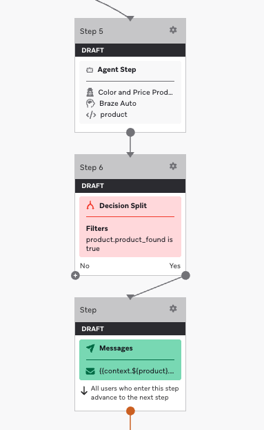 Braze Canvas steps